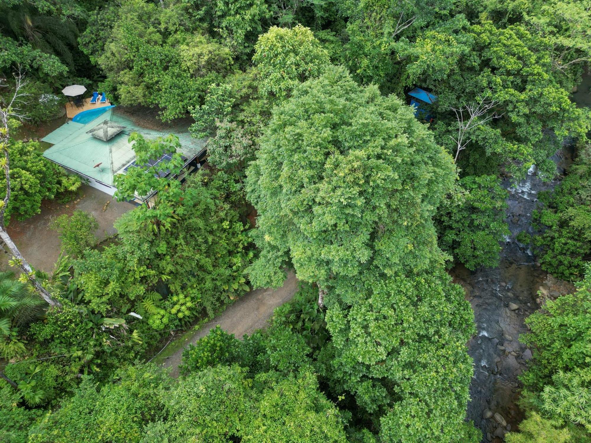 Casa Cedro - Portasol Vacation Rentals Matapalo  Exterior photo
